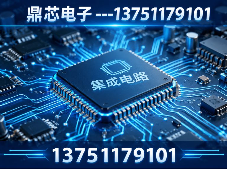 杭州鼎芯电子展示图